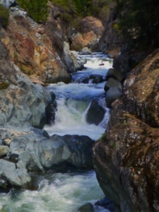 P1030259 (480x640)